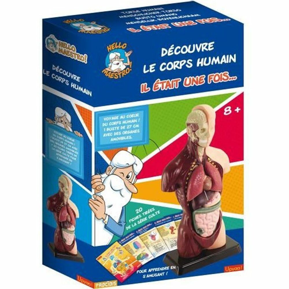 Gioco di Scienza Educa HELLO MAESTRO Bust Anatomy (FR)    