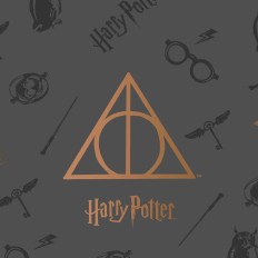 Trapunta Harry Potter Deathly Hallows Multicolore Letto 180 cm    