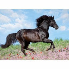 Puzzle Ravensburger 12803 Black Stallion XXL 200 Pezzi    