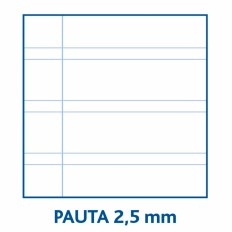 Quaderno Centauro Din A4 80 Pagine (10 Unità)    