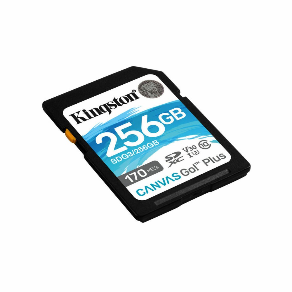 Scheda Di Memoria SD Kingston SDG3/256GB 256 GB    