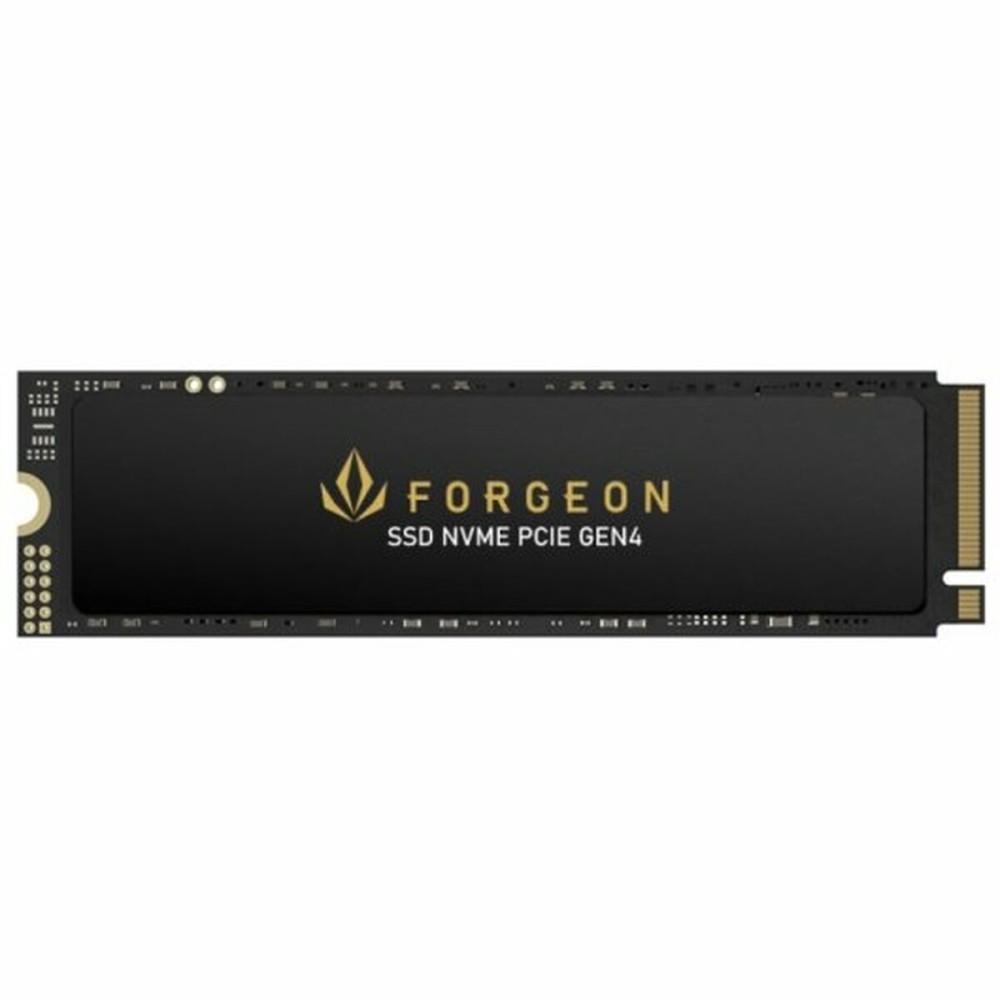 Hard Disk Forgeon 4 TB SSD    