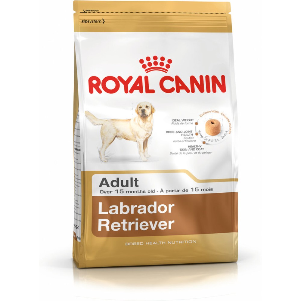 mangime Royal Canin Labrador Retriever Adult Adulto Pollo Riso Uccelli 12 kg    