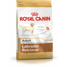 mangime Royal Canin Labrador Retriever Adult Adulto Pollo Riso Uccelli 12 kg    