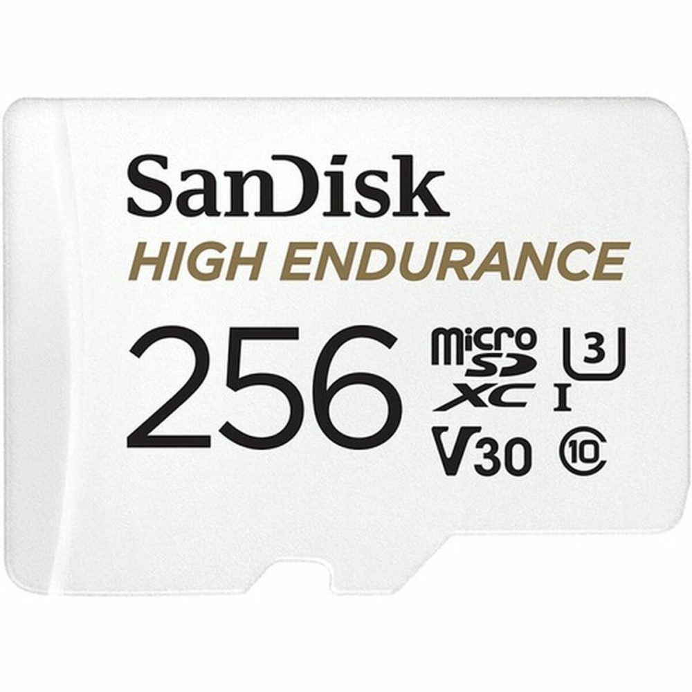 Scheda Micro SD SanDisk High Endurance 256 GB    