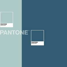 Trapunta Two Colours Pantone Dimensione  Letto da 180 (270 x 260 cm) 