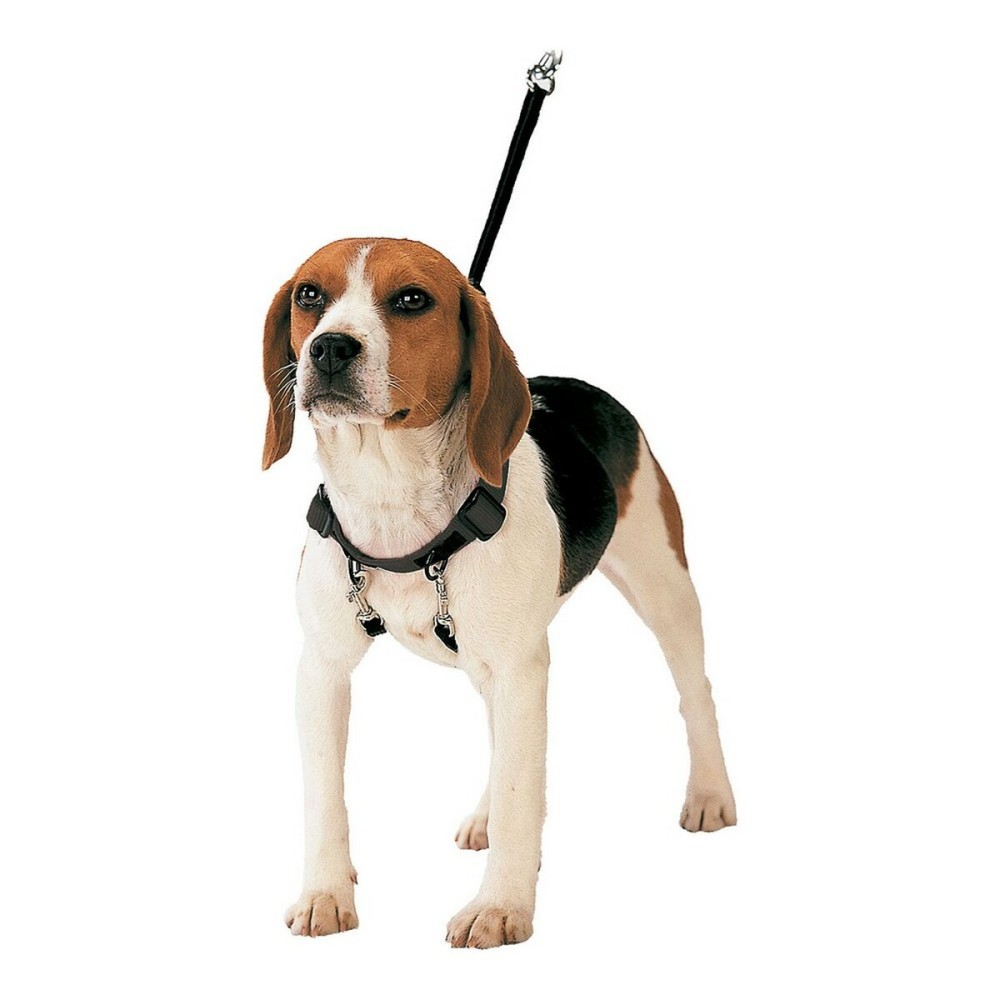 Imbracatura per Cani Gloria 30-42 cm Taglia M    