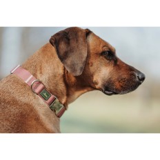 Collare per Cani Hunter Rosso 40-55 cm L    