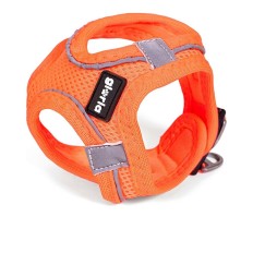 Imbracatura per Cani Gloria Air Mesh Trek Star Regolabile Arancio L (33,4-35 cm)    