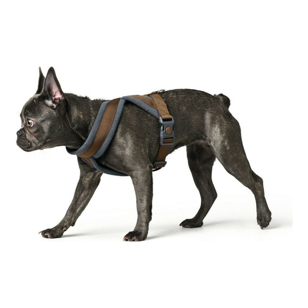 Imbracatura per Cani Hunter London Comfort 52-62 cm Marrone Taglia S/M    