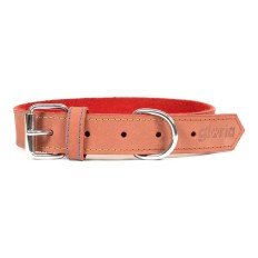 Collare per Cani Gloria Oasis Rosso (50 x 2,1 cm)    