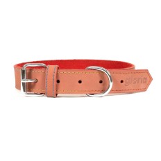 Collare per Cani Gloria Oasis Rosso (1,5 x 40 cm)    