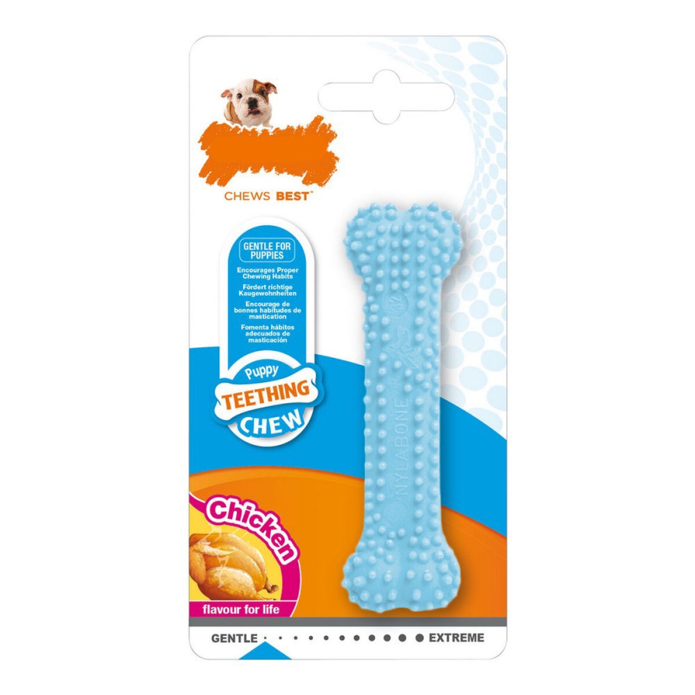 Giocattolo da mordere per cani Nylabone Azzurro Pollo Blue Termoplastico Taglia XS Cuccioli    