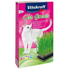 Spuntino per Cat Vitakraft Cat Grass    