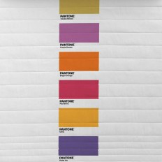 Trapunta Fun Deck Pantone Dimensione  Letto da 150 (250 x 260 cm) 