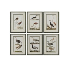 Quadro Home ESPRIT Uccelli Cottage 40 x 2,5 x 54 cm (6 Unità)    