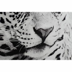 Quadro DKD Home Decor 100 x 2,5 x 100 cm Leopardo Coloniale (2 Unità)    