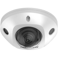 Videocamera di Sorveglianza Hikvision DS-2CD2543G2-IS(2.8mm)    