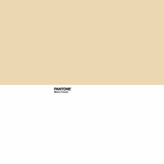 Copripiumino Pantone Melon Cream Matrimoniale (240 x 220 cm)    