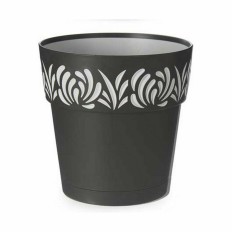 Vaso Autoirrigante Stefanplast Gaia Antracite Plastica 19 x 19 x 19 cm (12 Unità)    