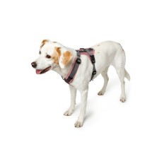 Imbracatura per Cani Hunter Maldon Up Rosa 46-82 cm S/M    