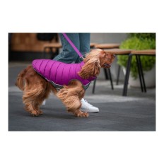 Cappotto per Cani Red Dingo Puffer Rosa/Viola 35 cm    