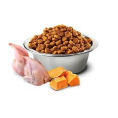 Cibo per gatti Farmina   Zucca Adulto Pollo 1,5 Kg    