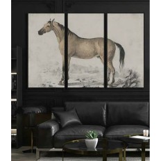 Quadro DKD Home Decor Cavallo (180 x 4 x 120 cm)    