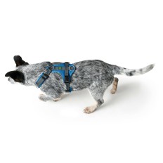 Imbracatura per Cani Hunter Maldon Up Azzurro 31-49 cm    