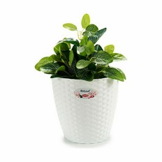 Vaso Stefanplast Bianco Plastica 24 x 22,5 x 24 cm (6 Unità)    