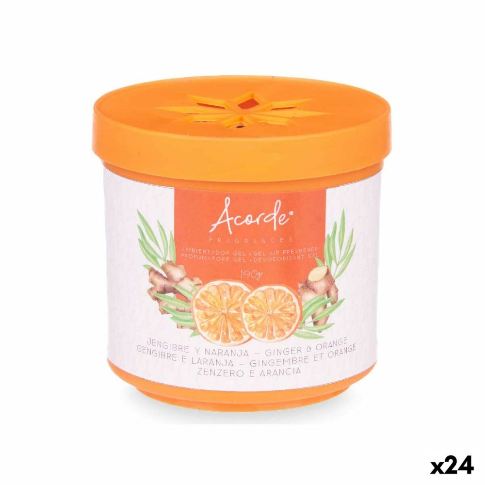 Deodorante per Ambienti Arancio Zenzero 190 g (24 Unità)    