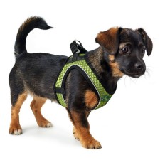 Imbracatura per Cani Hunter Hilo-Comfort Lime M (55-60 cm)    