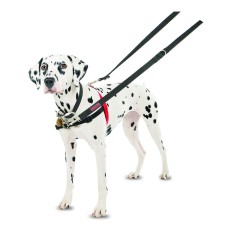 Imbracatura per Cani Company of Animals Halti Nero/Rosso Taglia M (58-86 cm)    