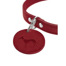 Collare per Cani Hunter Aalborg Rosso XS/S 28-33 cm    