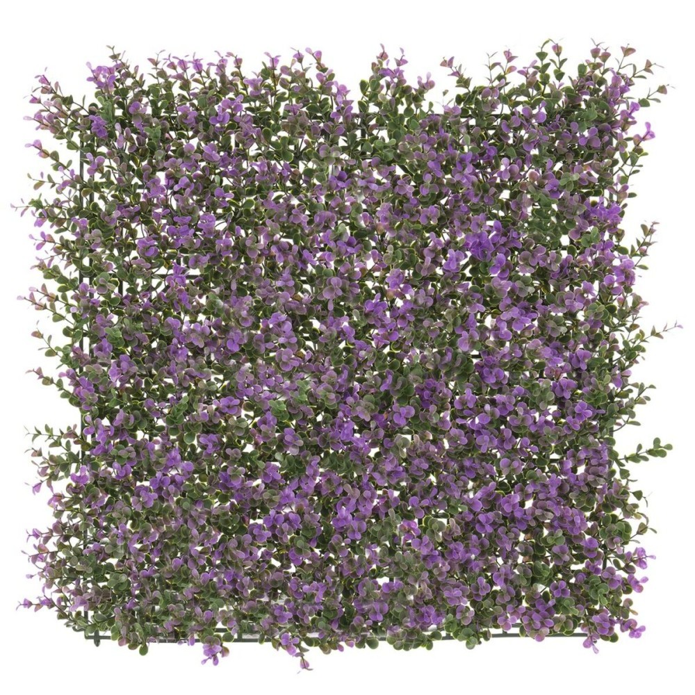 Recinto   Lavanda 50 x 50 x 2 cm    