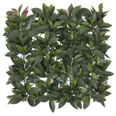 Recinto   Laurel 50 x 50 x 2 cm    