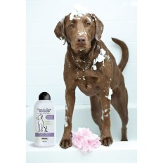 Shampoo per animali domestici Wahl 3999-7010 750 ml Bianco    