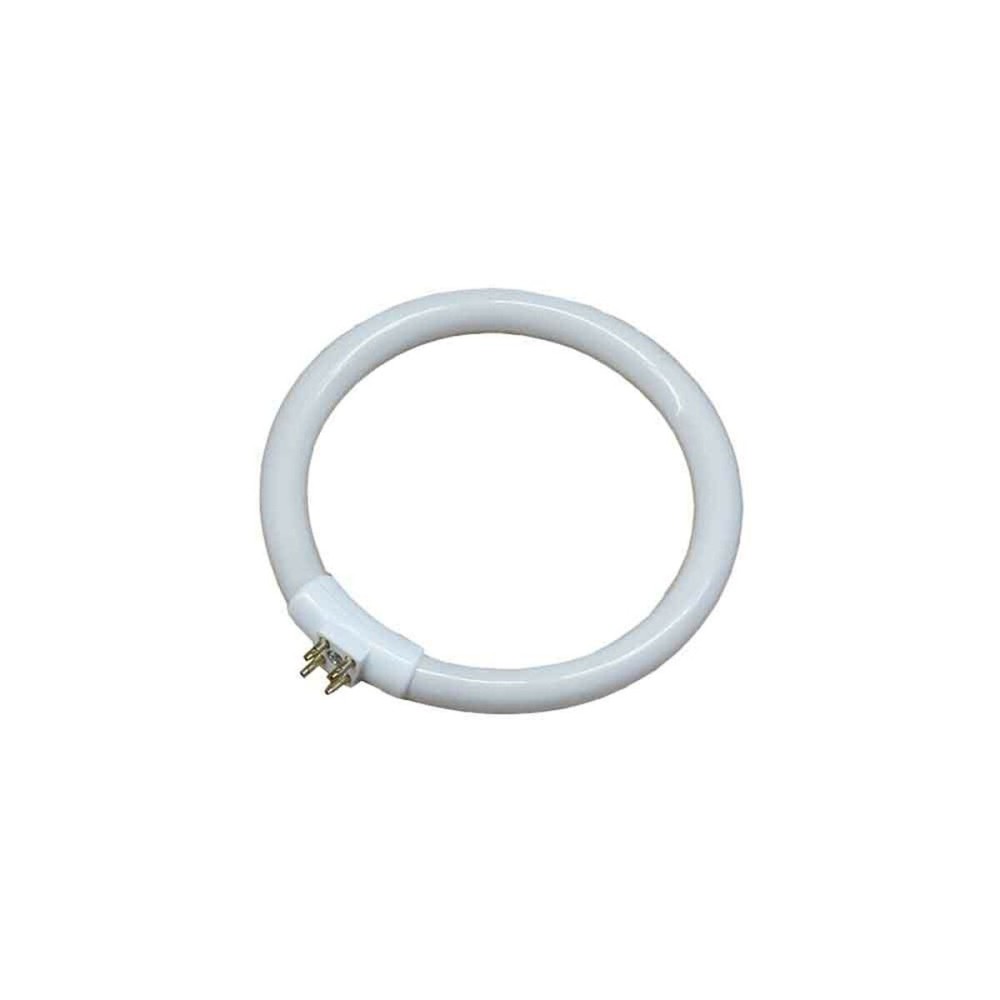 Tubo fluorescente EDM 30287 Ricambio Circolare T4 Bianco 12 W (6500 K)    