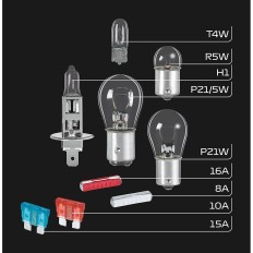 Lampadina a incandescenza FORMULA 1 SK100    