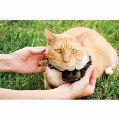 Collare per gatti PetSafe Prf-3004xw-20    