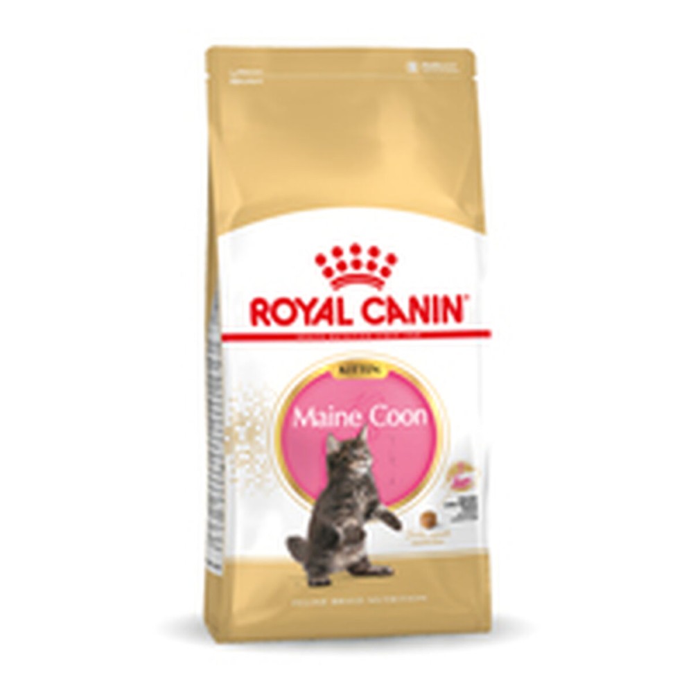 Cibo per gatti Royal Canin Maine Coon Kitten 10 kg    