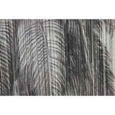 Quadro Home ESPRIT Bianco Nero Palme Tropicale 80 x 3 x 120 cm (2 Unità)    