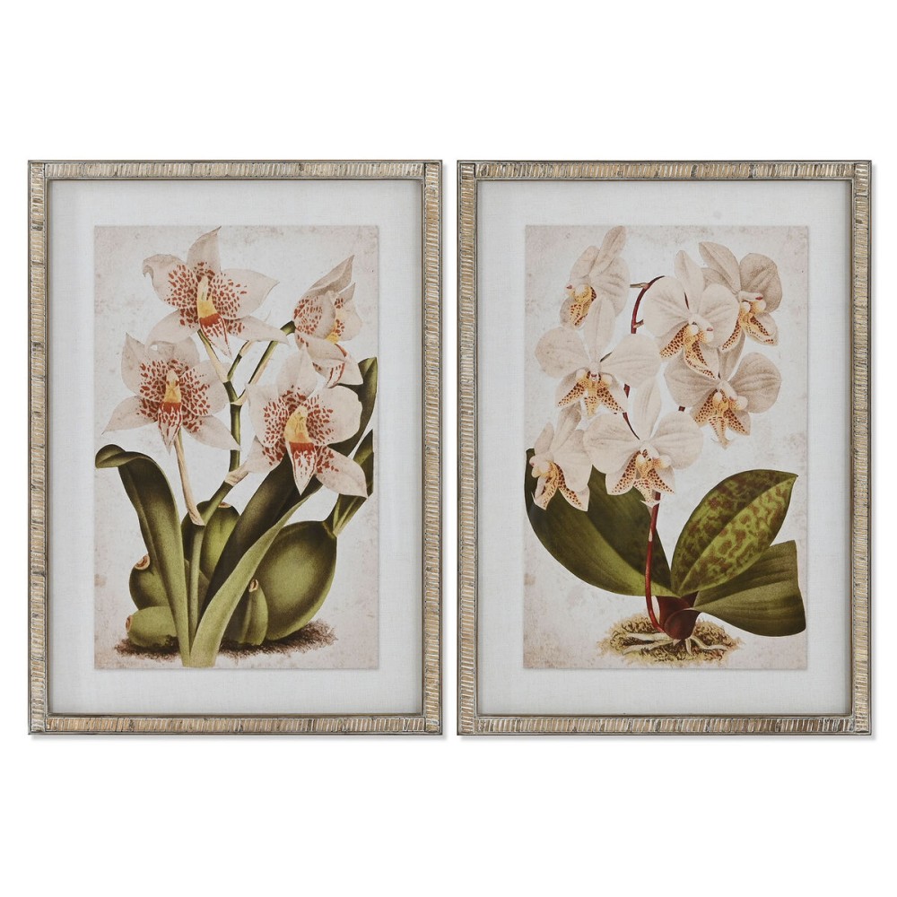 Quadro Home ESPRIT Tropicale Orchidea 50 x 2,5 x 70 cm (2 Unità)    