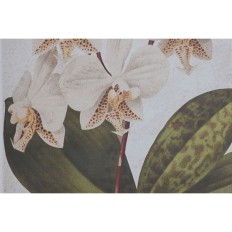 Quadro Home ESPRIT Tropicale Orchidea 50 x 2,5 x 70 cm (2 Unità)    