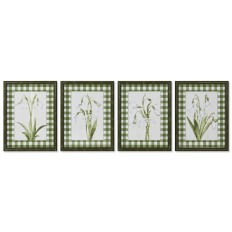 Quadro Home ESPRIT Verde Beige Shabby Chic Piante botaniche 30 x 2,5 x 40 cm (4 Unità)    